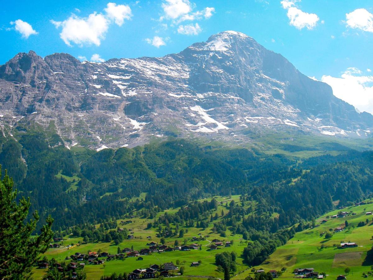 Abendrot-30 * Grindelwald